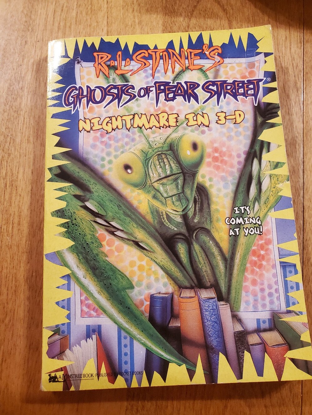 GOOSEBUMPS - Ghosts of Fear Street Nightmare in 3-D 3D  First Edition 1st Print